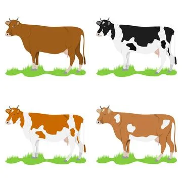 Cows, set of cows on a green meadow. Flat design, vector illustration Stock Illustration