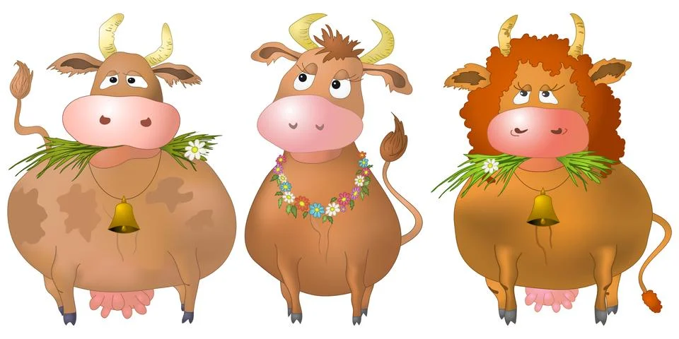 Cows, set Stock Illustration