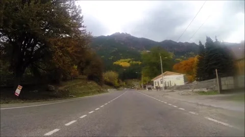 Cows slowly cross the road. Stock Footage 144763750