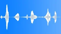 Cows Two MooingSound Effect