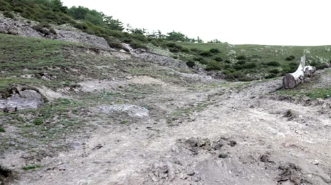 Cows walking on hills Video stock 34862721