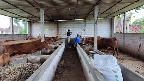 Cowshed made of cement Stock Photos