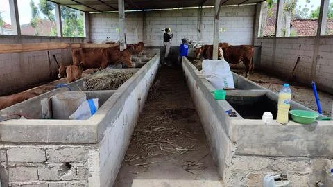 Cowshed made of cement Stock Photos