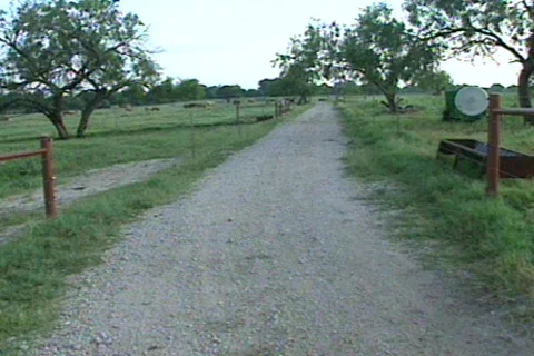Cowtx14 Stock Footage 292801