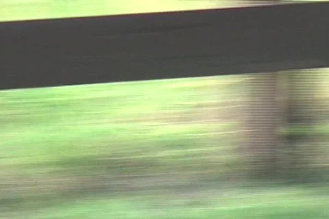 Cowtx30 Video stock 293367