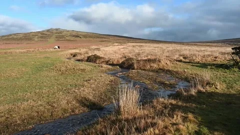 Cox Tor January winter sunshine Dartmoor Stock Footage 327151353