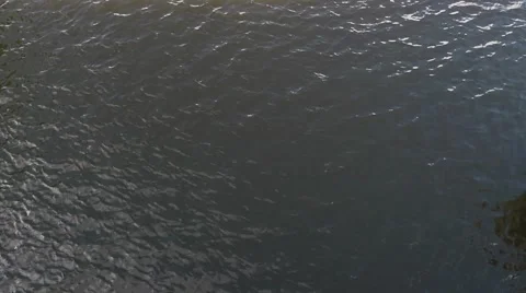 Coxed four from above Stock Footage 5738551