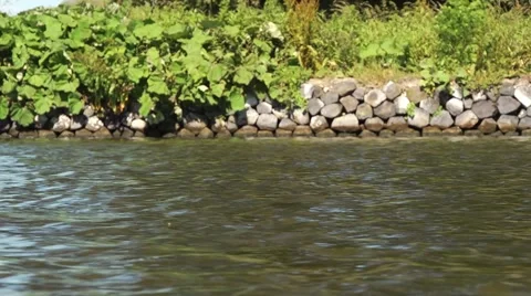 Coxed four rowing Stock Footage 5739350