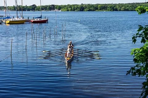 Coxed four rowing shell on Lake Wannsee during rowing training on a sunny day. Stock Photos