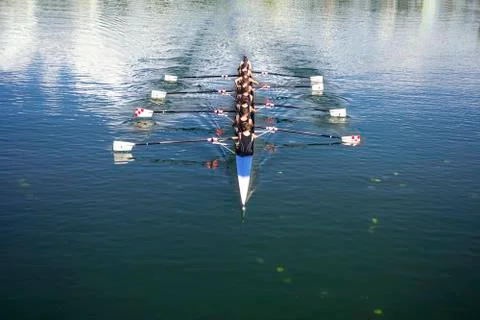 Coxed octosyllable Stock Photos