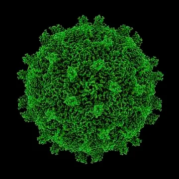 Coxsackie b3 virus particle Stock Illustration