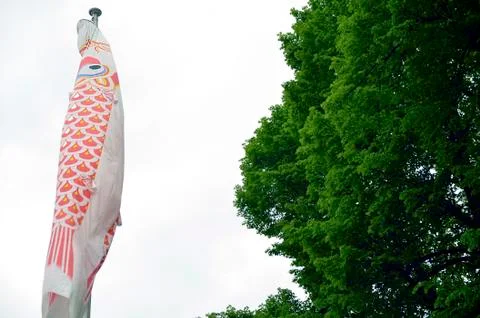 Coy fish flag Stock Photos