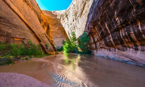 Coyote Gulch Stock Photos