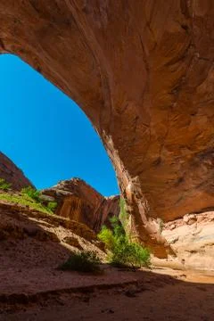 Coyote Gulch Vertical Stock Photos