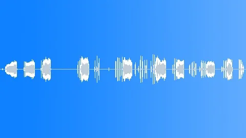 COYOTE Sound Effect