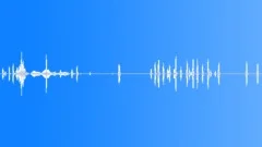 COYOTE Sound Effect