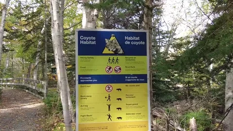 Coyote Warning Sign Danger Stock Footage 344601877