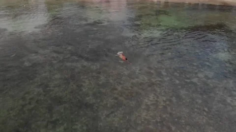 Cozumel Stock-Footage 130423227