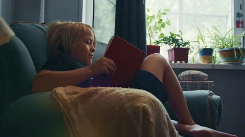 Cozy Afternoon With Blond Boy Reading in Armchair Stock Footage 344690428