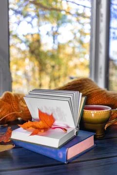 Cozy autumn composition with book, where maple leaf serves as bookmark, and t Stock Photos