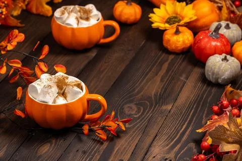 Cozy autumn drinks with marshmallows on rustic wood Stock-Fotos