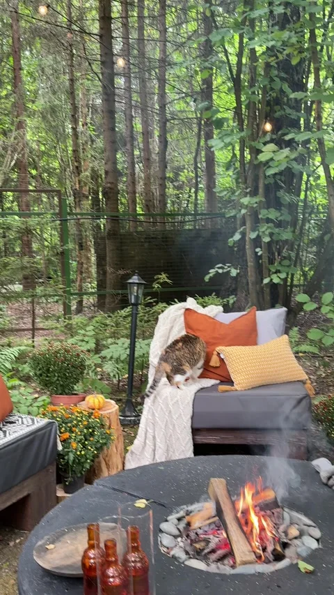 Cozy autumn fire pit area with outdoor seating in woodland garden Video stock 342648088