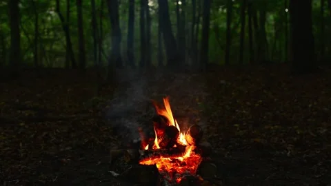 Cozy background campfire burning with small flame and smoke in woods Stock Footage 345716361