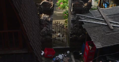 Cozy backyard cafe in Bali Vidéo 282968651