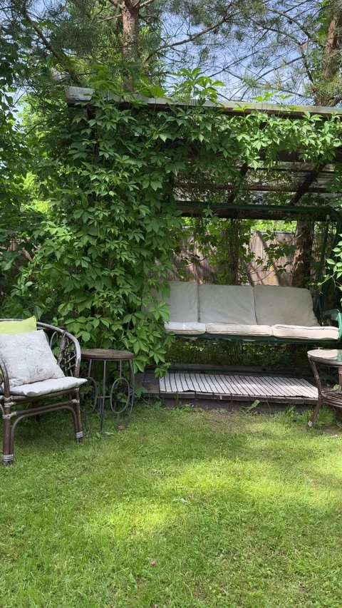 Cozy Backyard Lounge with Garden Swing and Wicker Chair Under Green Pergola Video stock 336975920