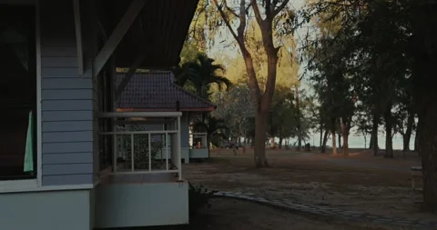 Cozy beachside cottage among trees at sunset. Vidéo 303816761