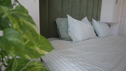 Cozy bedroom setup with green plants and striped bedding Stock Footage 340598571