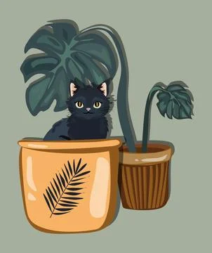 Cozy black cat sitting inside a terracotta plant pot surrounded by lush green 스톡 일러스트