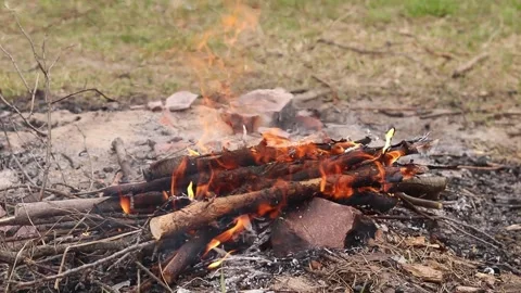 Cozy bonfire of dry branches burning on sandy ground Video stock 333947389
