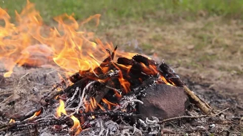 Cozy bonfire of dry branches burning on sandy ground Stock Footage 333947710