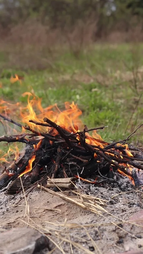 Cozy bonfire of dry branches burning on sandy ground Stock-Footage 333947766