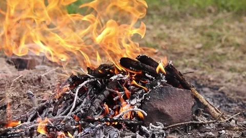 Cozy bonfire of dry branches burning on sandy ground Видео 333947788