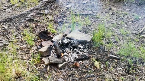 Cozy bonfire in nature Stock Footage 135406819