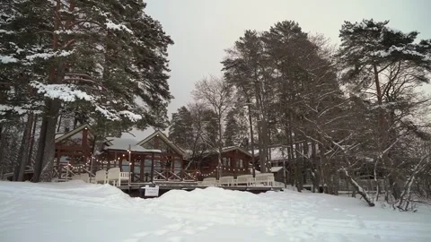 Cozy Cabin in Snowy Forest with Pine Trees and Winter Landscape Stock Footage 314576858