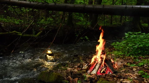 Cozy campfire and small stream in light of flashlight Stock Footage 331356324