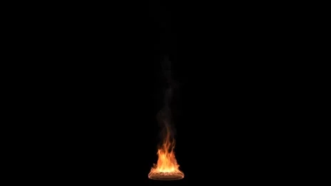 Cozy Campfire Animation Loop - Relaxing Fire Motion Video Stock Footage 307876620