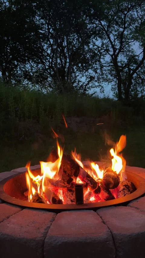 Cozy campfire burning in backyard fire pit at dusk Stock Footage 324534661