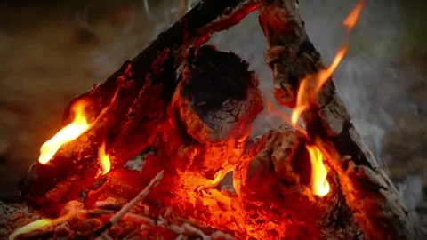 Cozy campfire burning with bright flames and glowing embers. Stock Footage 341977913