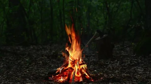 Cozy Campfire Burning in Dark Forest Seamless Loop with ASMR Sound Stock-Footage 344951210