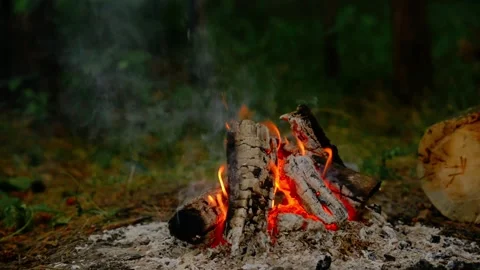 Cozy campfire burning in a forest, cinematic close-up shot. Video stock 341977776