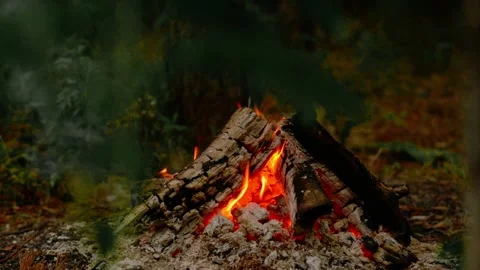 Cozy campfire burning in a forest with glowing embers and smoke. Video stock 341977917