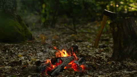 Cozy Campfire Burning in Forest Wilderness Nature Loop Background Video stock 343821649