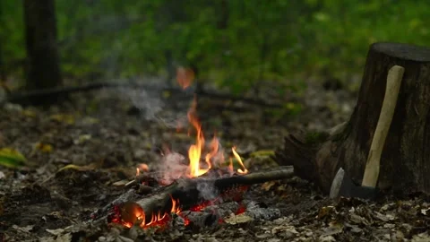 Cozy Campfire Burning in Forest Wilderness Nature Background Loop Stock-Footage 344031045