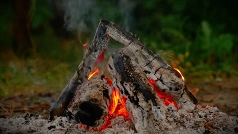 Cozy campfire burning in a mystical forest with smoke. Stock-Footage 341977927
