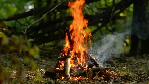 Cozy Campfire Burning for Relaxation Loop Video stock 343343594