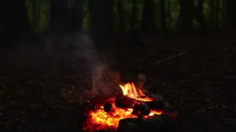 Cozy campfire burning with warm glowing embers and soft smoke in woods Stock Footage 345716375